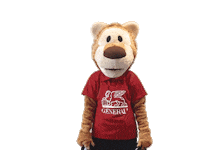 Soccer Fan Sticker by Generali.si