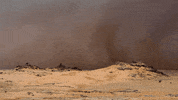 Dust Storm GIF