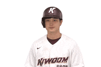 키움히어로즈 Sticker by Kiwoom Heroes Baseball Club