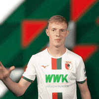 Auf Wiedersehen Hello GIF by FC Augsburg 1907