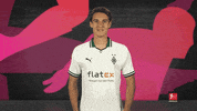 Borussia Monchengladbach Yes GIF by Bundesliga