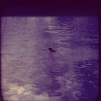 animation character GIF by hamasakihaus