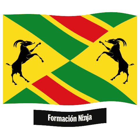 Comunidad De Madrid Bandera Sticker by Formación Ninja