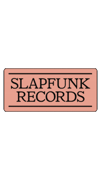 Dj House Sticker by Slapfunk records