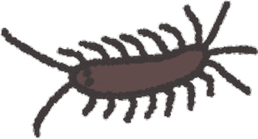 Bug Sticker
