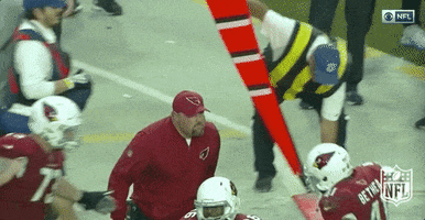 Arizona Cardinals Football GIF by NFL