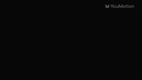 Weird Plants Animations