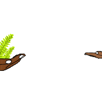 Grow Native Plants Sticker by Partners in Development Foundation