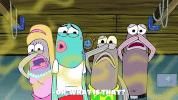 season 9 episode 3 GIF by SpongeBob SquarePants