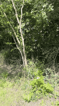 Travel City GIF