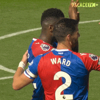 Celebrate Premier League GIF by Crystal Palace Football Club
