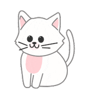 petforest cat 고양이 강아지 사랑해 Sticker
