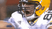 Regular Season Football GIF by NFL