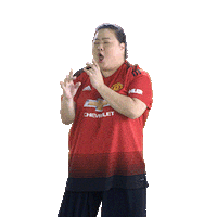 happy manchester united Sticker by beIN SPORTS APAC