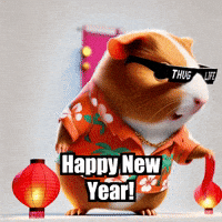 Happy New Year Celebration GIF by Guinea Gambino