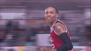 Sport Celebration GIF by Basketball Champions League