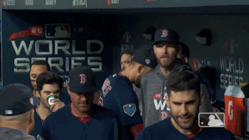 World Series Sport GIF by MLB