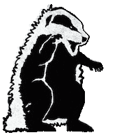 spotthebadger godzilla badgers badger badger badger badger Sticker