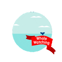 Planagram Sticker by Qantas