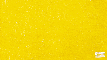 Season 1 Donation GIF by Quinta vs. Everything