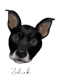 Zodiak Sticker by Bastian the Talking Terrier