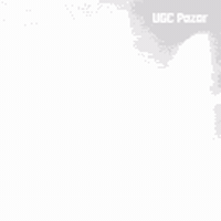 Cute Cat GIF by UGCPazar