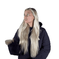 ab-glanz jowünsche jowuensche jo wuensche jo wünsche Sticker