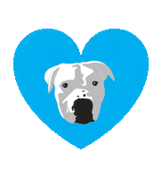 onetailatatime dogrescue otat onetailatatime onetail Sticker