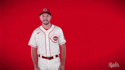 Albert Almora GIF by Cincinnati Reds