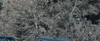 Fast And Furious GIF by The Fast Saga
