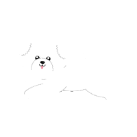 Misoko Dog Sticker by Nature's Protection