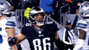 2018 nfl football GIF by NFL