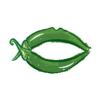 Dressing Hot Sauce Sticker by Saucylips