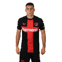 Bayer 04 Love Sticker by Bayer 04 Leverkusen