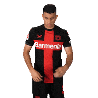 Posing Bayer 04 Sticker by Bayer 04 Leverkusen
