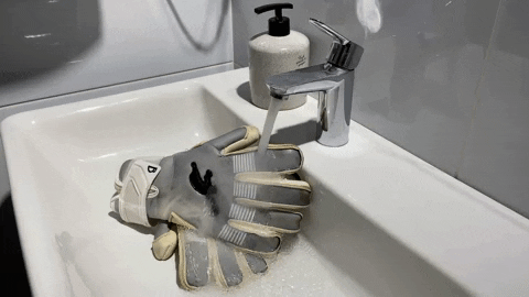 BraveGK giphygifmaker GIF