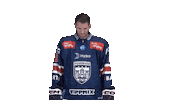Hockey Sticker by Fehervar AV19