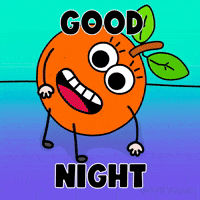 Night Sleep GIF