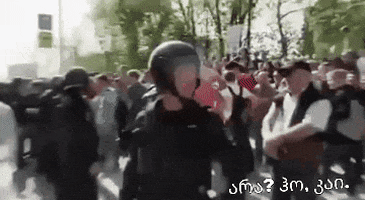 ermile giphygifmaker giphygifmakermobile GIF