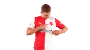 Football Soccer Sticker by SK Slavia Praha