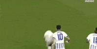 Football Brighton GIF