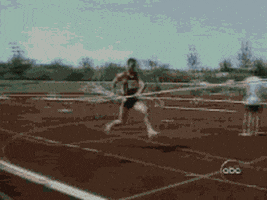 pole vault GIF