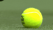 Tennis Ball GIF by Wimbledon