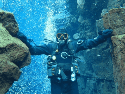 jimfeldkamp giphygifmaker giphyattribution jim feldkamp GIF