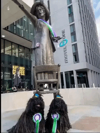 Dogs Pose With Suffragette Statue in Manchester for International Women's Day