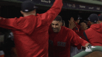jd hug GIF by MLB