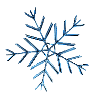 Freezing Den Bosch Sticker by GoStijn