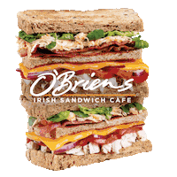 obrienscafe sandwich irish latte espresso Sticker