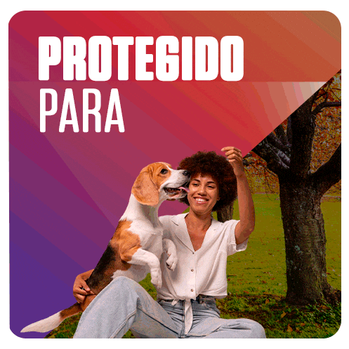 Bravecto GIF by MSD Família Pet