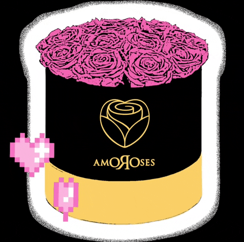Amoroses giphyattribution love pink rose GIF